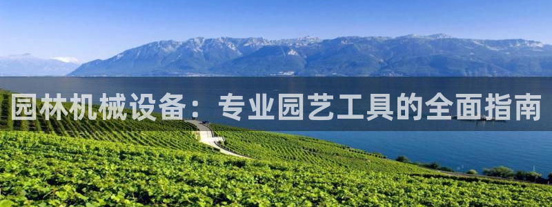 j9九游会app下载