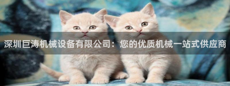九游会上不去了
