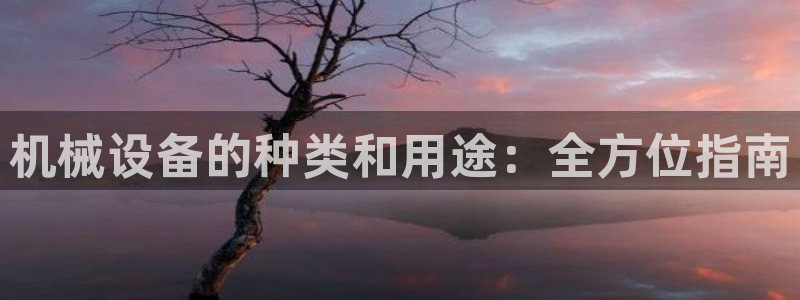 ag九游会论坛
