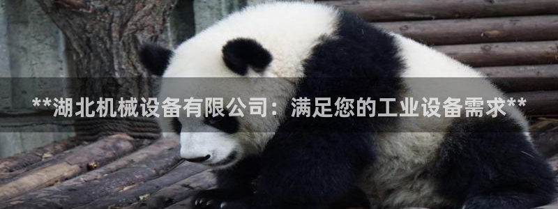 ag九游会官网网址