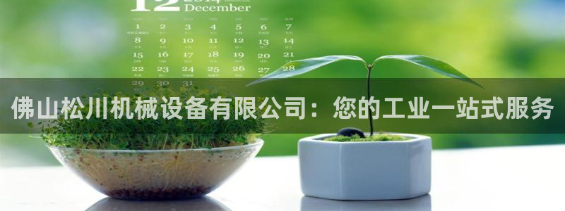 九游j9国际站