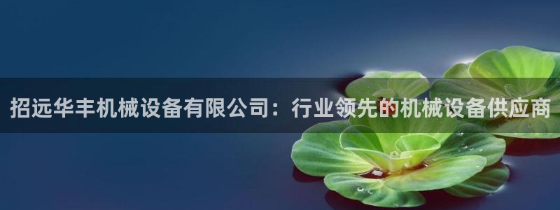 九游会官网下载不了吗