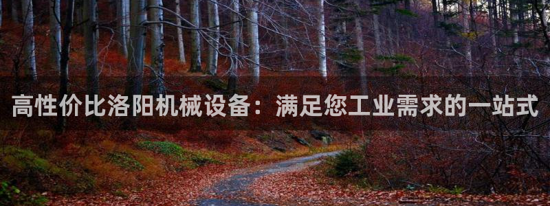 九游会网址是什么