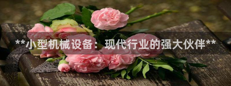 九游会提款安全吗