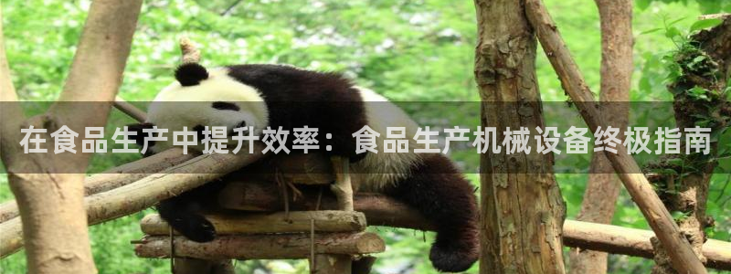 九游会集团菲律宾