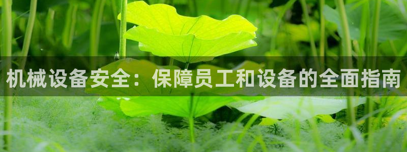 ag九游会官网网址