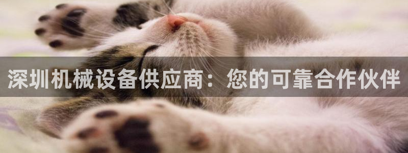 j9官网登录入口网页
