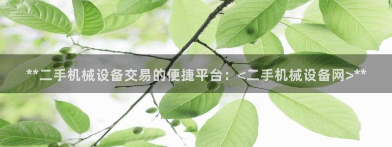 九游会是什么
