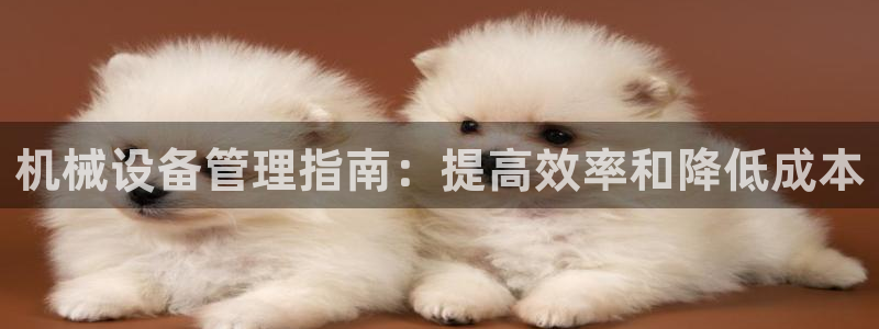 j9九游会真人第一品牌