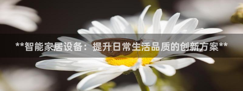 九游会大家觉得怎么样