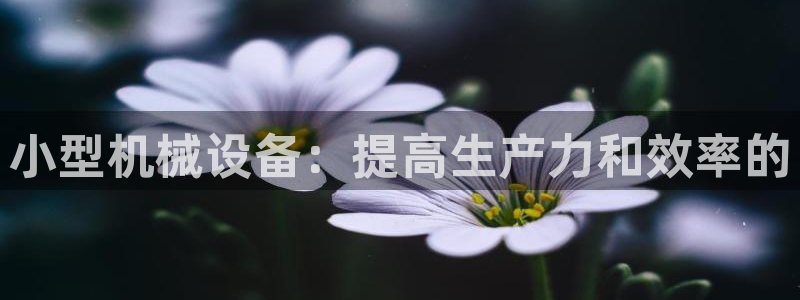 九游会登不上