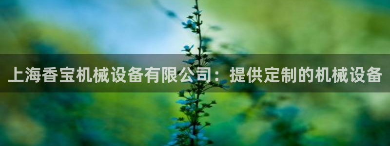 九游会agapp