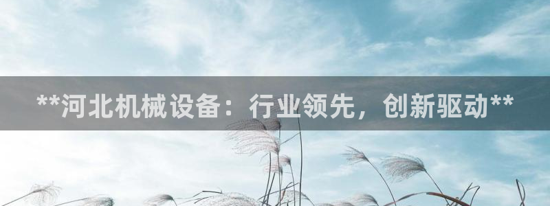 九游会官网入口ag亚洲
