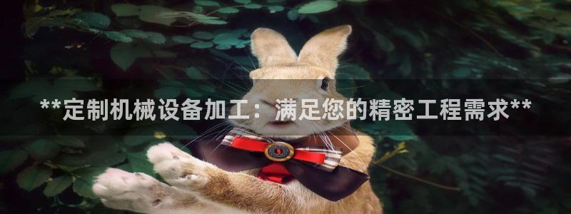 j9九游会网址是什么