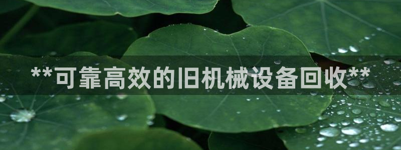 九游会集团国际