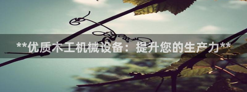 ag九游会论坛