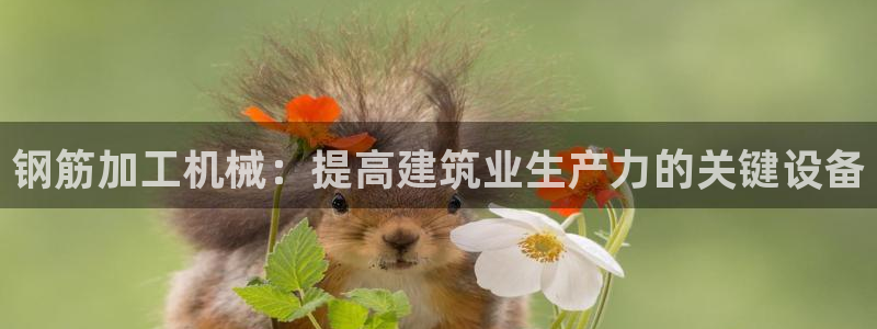 九游会老哥俱乐部必备的交流社区