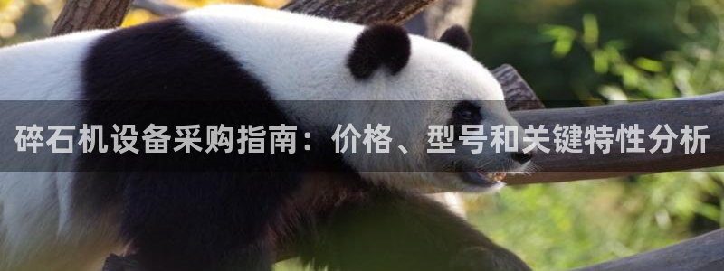 九游会提款快吗