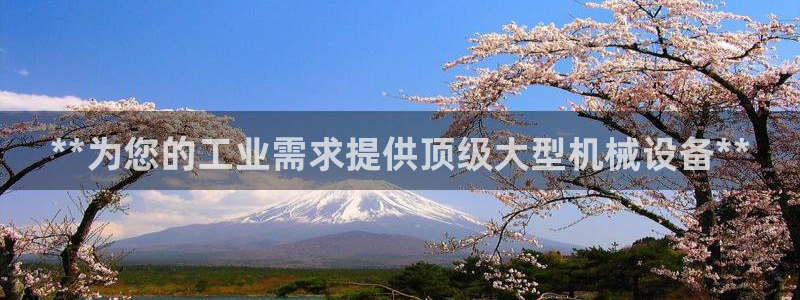 九游会跟ag是怎么一回事