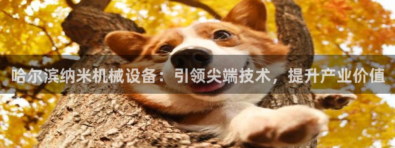 九游会游戏平台是什么