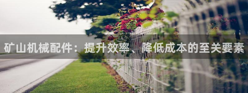 九游会是一个什么网站啊