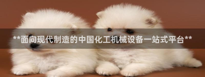 九游会数字货币