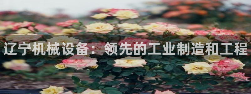 j9九游会怎么样