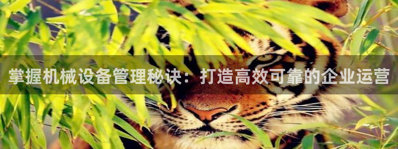 九游会亚洲唯一合作伙伴