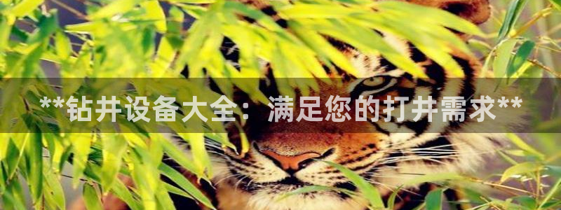 J9九游会J9