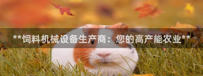 九游会网址入口