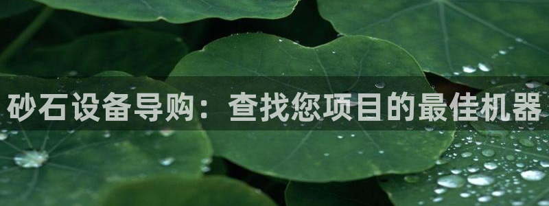 九游j9国际
