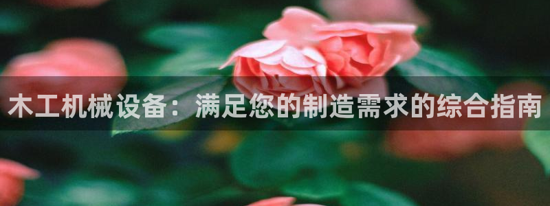 九游会官网真人认证吗