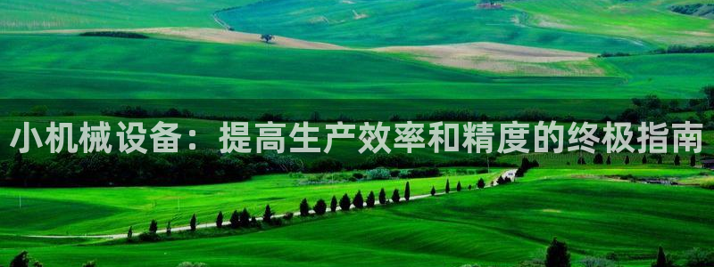 九游会平台王一博泰国