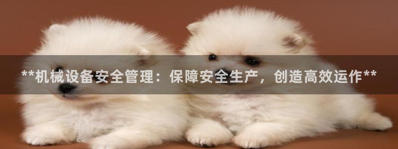 九游会AG下载手机端