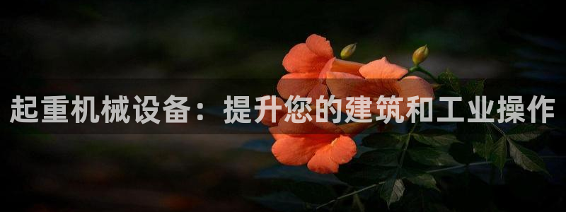 九游会ag老哥俱乐部入口