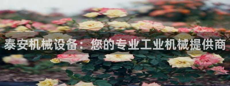 j9九游会游戏