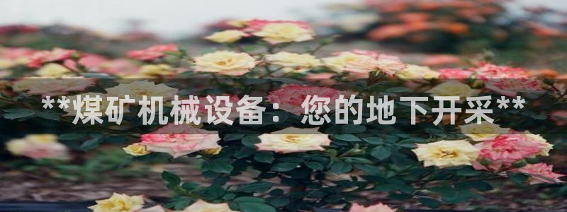 九游会集团官网