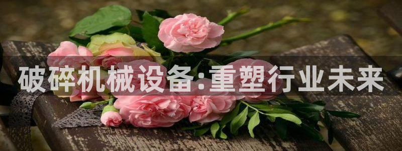 九游会j9官方网站