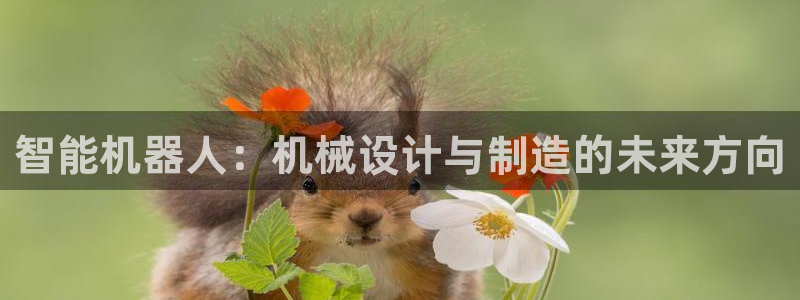 九游会官网老哥俱乐部