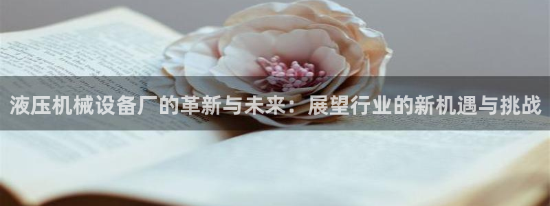 ag改名九游会