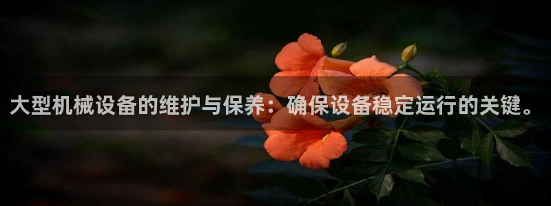 九游会j9