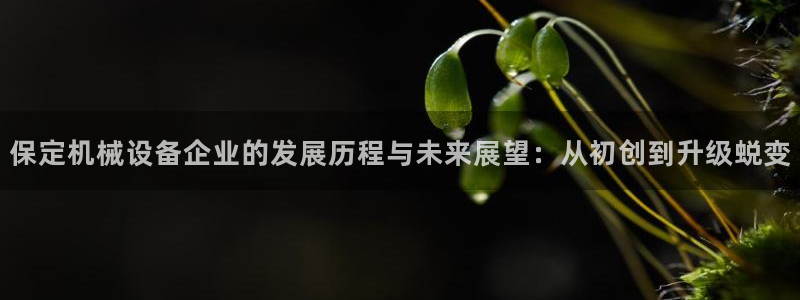 九游会 ag