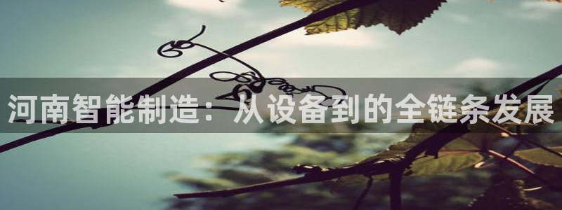 j9九游会怎么样