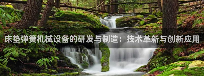 九游会官网站