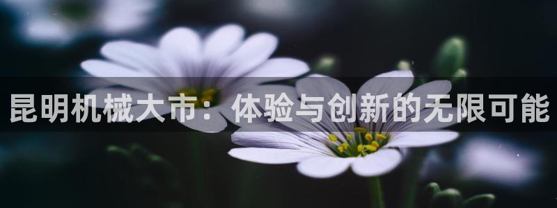 九游会ag私享