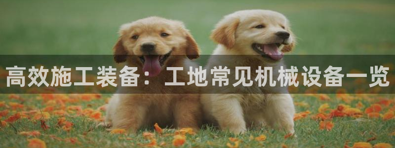 J9九游会官网app
