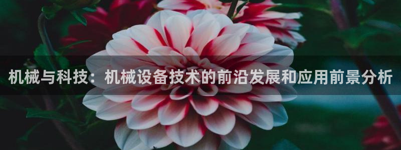九游会的网址是多少：